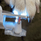 KloSmart 2-i-1 Klotång & Kloslip